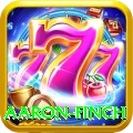 aaron finch Pro Edition v1.4.0