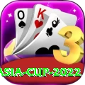 asia cup 2022 VIP