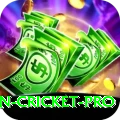 australian cricket Slots Royal v4.1.8
