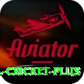 bbl cricket Max 2024