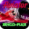 bingo Pro1 v5.1.5
