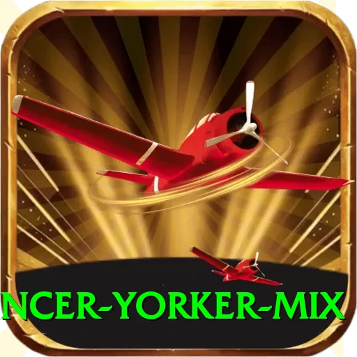 bouncer yorker mix Deluxe Pro v5.2.5 - 2