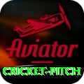 cricket pitch Elite v1.9.8