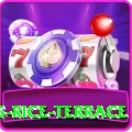 dhampus rice terrace VIP Edition v2.4.0