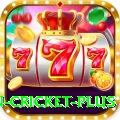 fastest ball in cricket - Slots Champion
