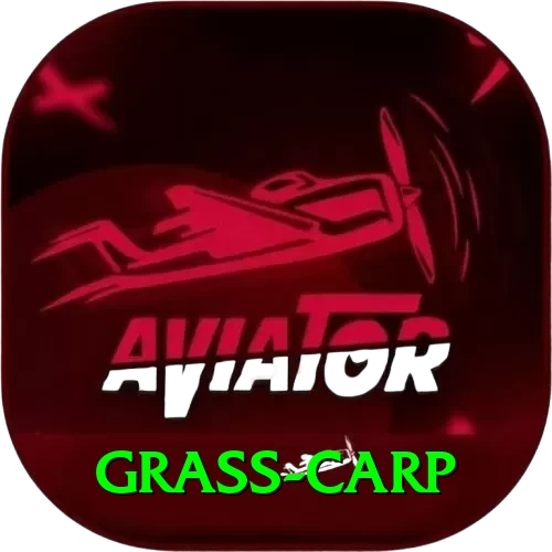 grass carp Games (Casino & Earning) Master v1.1.4 - 2