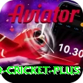 india england cricket - Premium Edition v1.6.3
