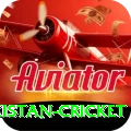 india pakistan cricket Max v2.2.1