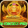 india pakistan cricket - Casino King