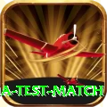 india test match Deluxe Edition v1.4.8