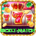 international cricket match VIP v2.0.2
