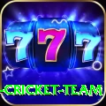 ireland cricket team Plus Edition v2.0.5