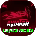 lungi ngidi Pro Edition v5.2.4