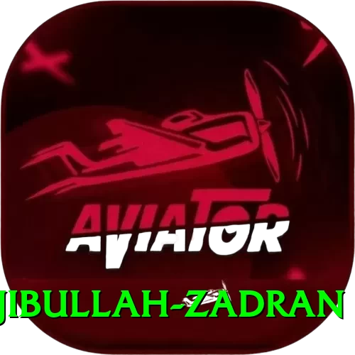 najibullah zadran Games (Casino & Earning) Pro v4.8.7 - 2