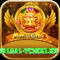 naseem shah yorkers VIP Edition v4.3.5