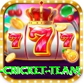 new zealand cricket team Apps (Tools & Injectors) Premium v2.7.2