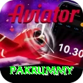 pakrummy Apps (Tools & Injectors) Premium v5.4.5