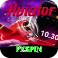 pkspin Premium v5.6.9