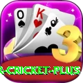 r cricket Games King