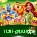 test match Pro Edition v2.9.7