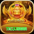 tiger888 Pro v2.0.8