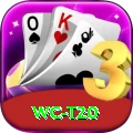wc t20 Premium Edition v1.7.6