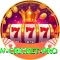 willow cricket Official v1.9.9